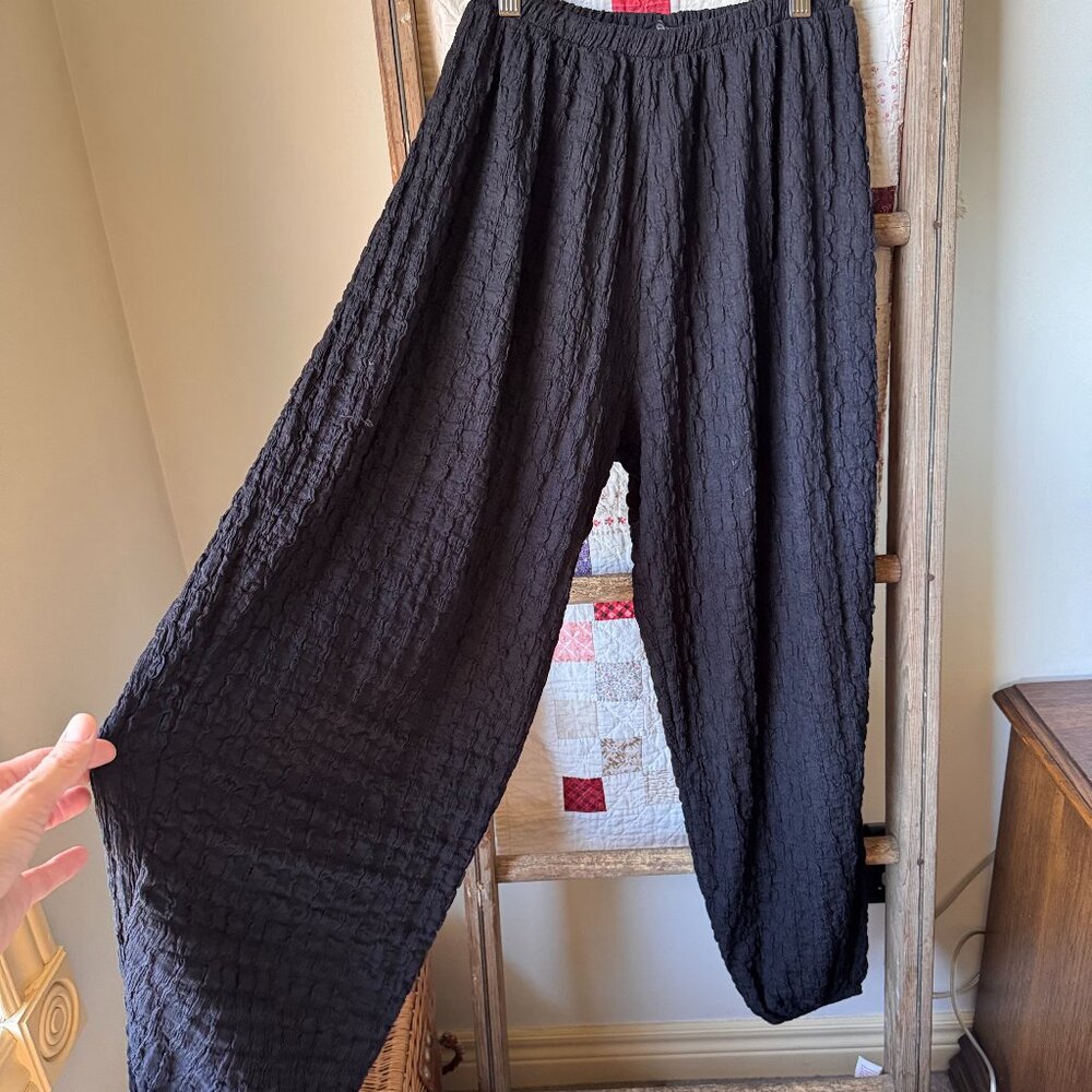 Zara Crinkle Cuff Balloon Pants